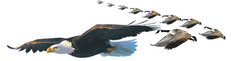 团队.jpg 团队.jpg